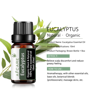 In February the best Eucalyptus oil Factory Price Wholesale 100% Natural Ingredients Body Massage Eucalyptus Essential Oil