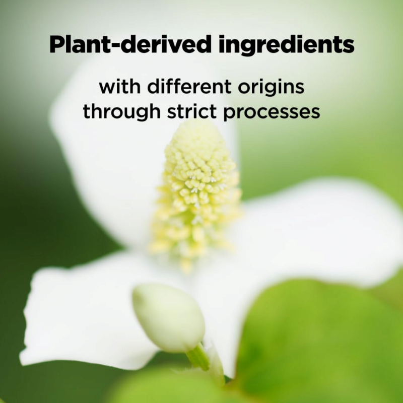 ISOI Moisture Dr. Mask Pack Hydrating Soothing Sheet Mask with Tea Tree Ceramide Hyaluronic Acid