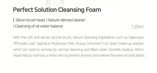 [Lindsay] Perfect Solution Cleansing Foam