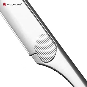 New Launch Promotion Razor H5 Stainless Steel Professional Safety Barber Shaving Razor