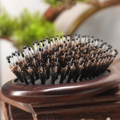 Wholesale Ebony China Pig Bristle Massage Hair Tool Hair Brush Comb