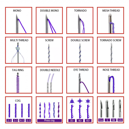 High Quality Pdo Cog 4D/6D Molding Cog Hilos Tensores Pdo Thread Lift Korea for Face Lifting