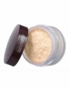 Translucent Loose Setting Powder