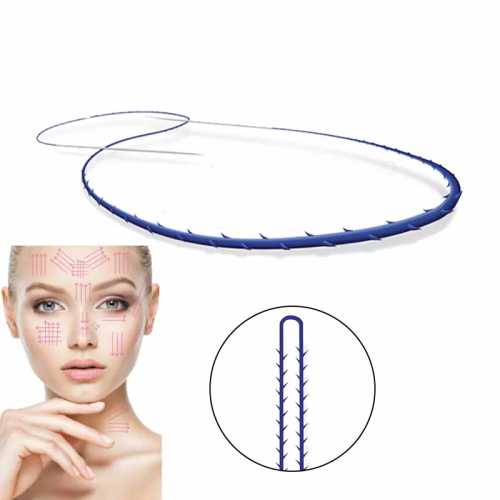 High Quality Face Lifting Eye Brow Screw Cog Mono Blunt Double Needle Lips Nose Pdo Plla Threads