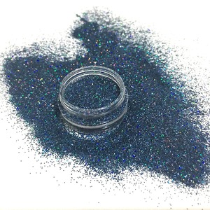 Factory Direct Sales New Arrival Design Popular Color Blue Black Holographic Fine Body Nail Face Glitter