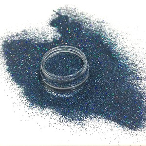 Factory Direct Sales New Arrival Design Popular Color Blue Black Holographic Fine Body Nail Face Glitter