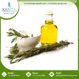 Rosemary Essential Oil For Muscular Pain Repair