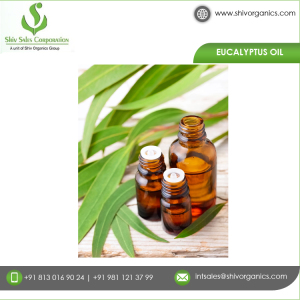 Trusted Manufacturer of Eucalyptus Essential Oil  of High Quality