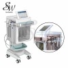 Sanwei water oxygen jet peel machine hydro microdermabrasion machine