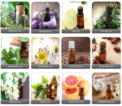 China Wholesale Eucalyptus Aromatic Pure Essential Eucalyptus Oil