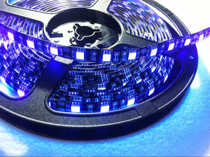 High brightness DC 12V 60leds 5m Waterproof Purple 5050 UV 365nm 395nm Led Strip