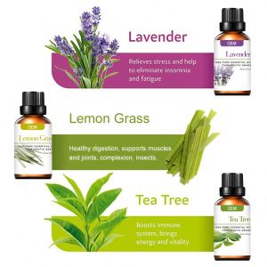 Oem And Odm Essential Oil For Aromatherapy Pure Essential Oil