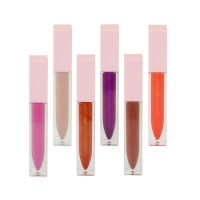 Factory Price Pink Matte Liquid Lipstick Vegan DIY Lip Gloss Packaging