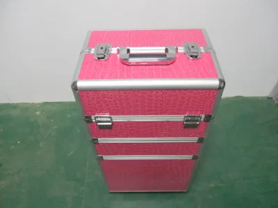 Big Colorful Aluminium Cosmetic Case for Makeup with Trays