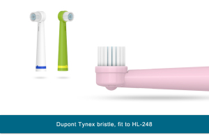 Electric toothbrush head replacement