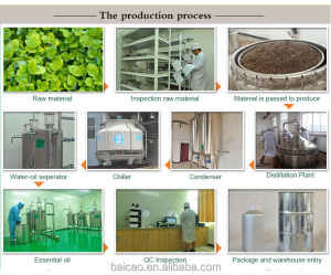 Fragrant oil natural carvanol oregano oil feed additive plant extract