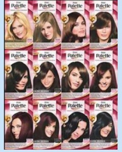 Palette / Diadem / hair dye /staining / toning / Woman / hair care