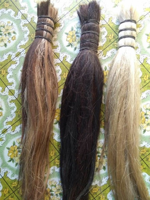 HAIR , WASHED AND CLEAN TAIL HORSE HAIR