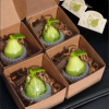 Pear Scent Car Air Vent Freshener
