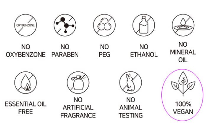100% Vegan Sun block creams