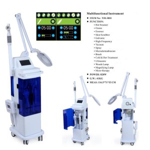 Factory direct wholesale multifunctional beauty salon equipment with OEM service