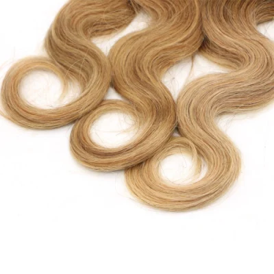 Ombre 1b/4/27 Brazilian Human Remy Hair Body Wave Remy Hair Bundles