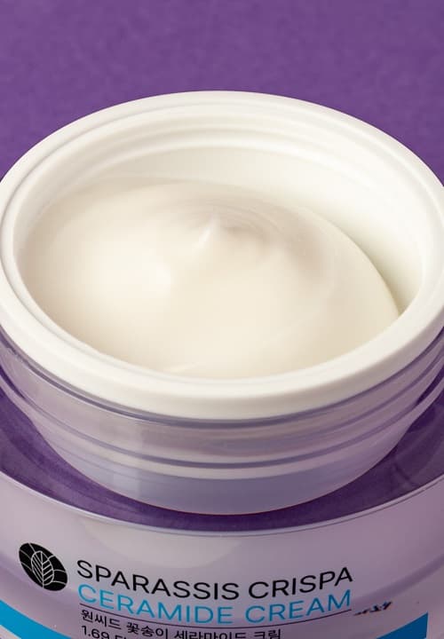 ONE SEED Sparassis Crispa Ceramide Cream