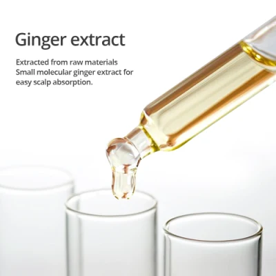 Private Label Custom Head Massage Hair Loss Prevention Ginger Oil