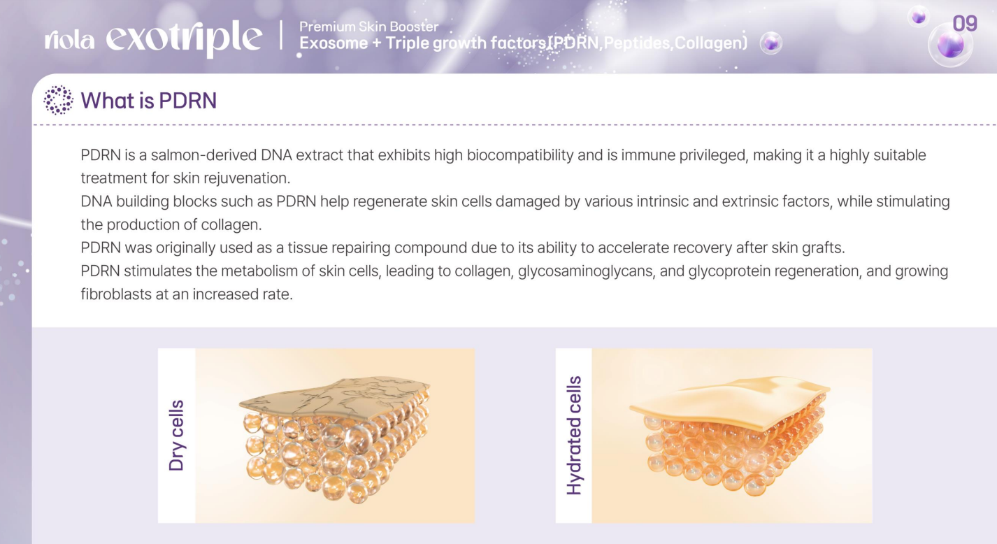 Riola Exotriple CICA Exosome, PDRN, Collagen Premium Skin Rejuvenation (Mini Set)