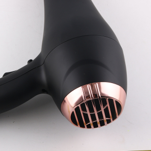 Taiyun HD-315  wholesale salon ionic hair dryer Professional blow dryer