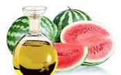 Watermelon seed carrier oil