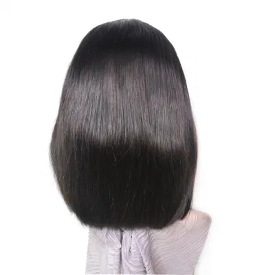 Wholesale Price Cuticle Aligned Brazilian Hair Sdd Virgin Lace Front Human Hair Wig 10inch