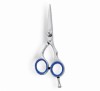 Professional Hair Cutting and Barber Scissors