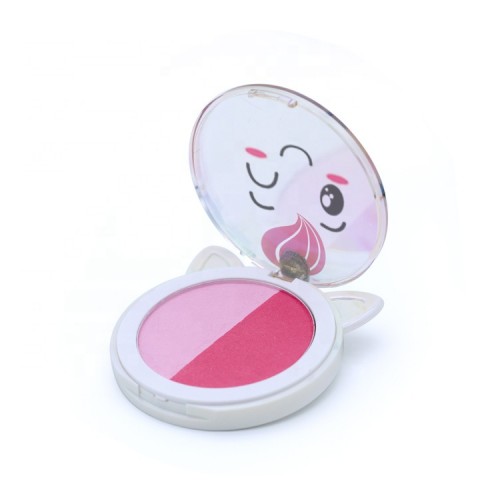 Wholesale Cosmetics Shinning Highlighter 2 Colors Blusher Private Label Colorful Palette