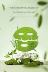 Tea Polyphenol Plant Extract Mask