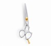 Professional Hair Cutting and Barber Scissors