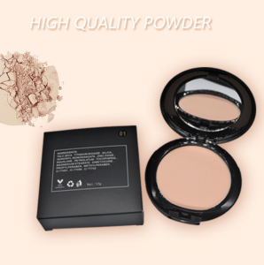 cosmetics makeup factory price Professional Face Makeup Pressed Powder rich in mineral soft concealer compact powder
