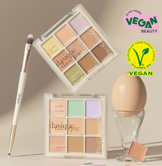 DASIQUE Pro Concealer Palette 2 Options To Choose