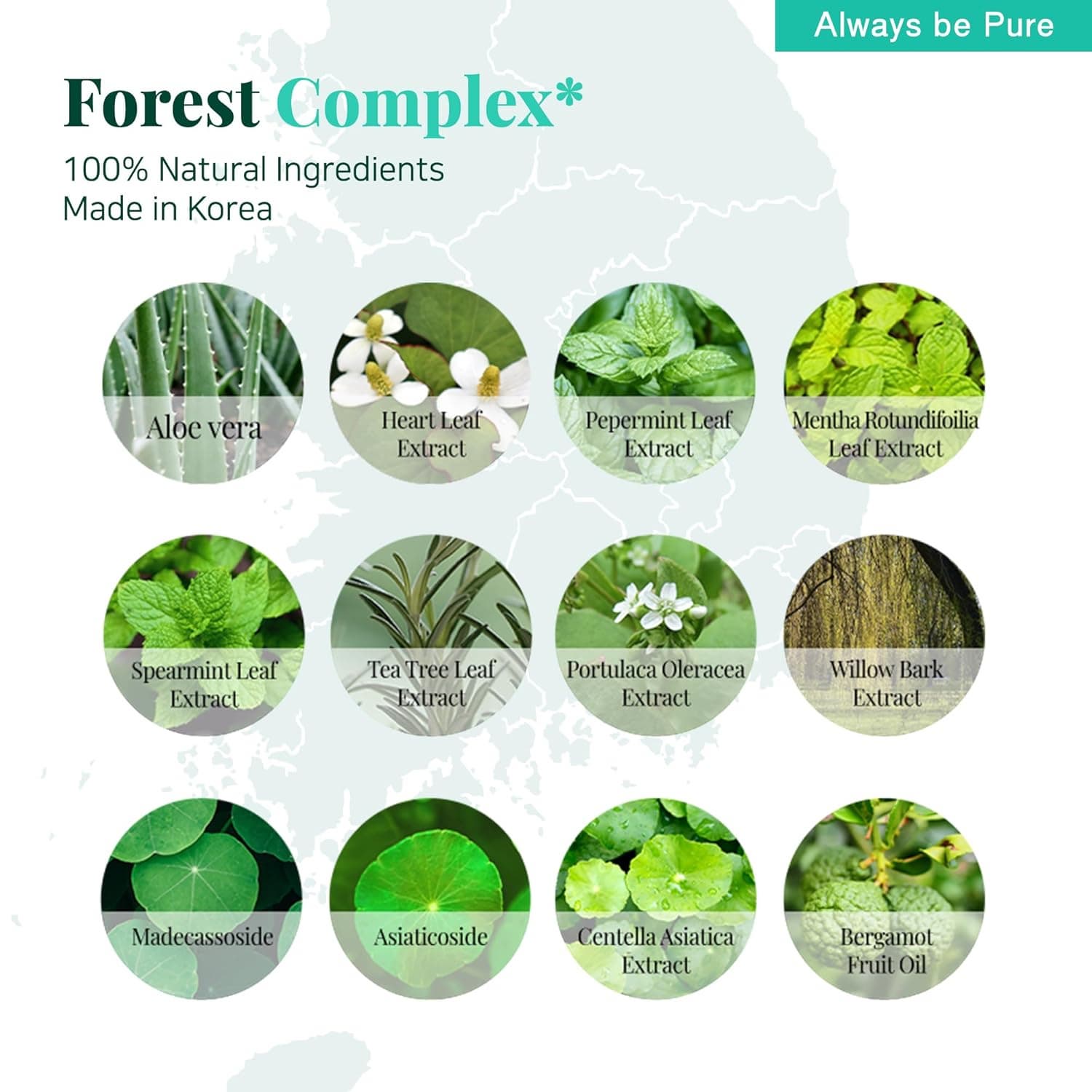 Forest Therapy Ultra Calming Cream 80ml