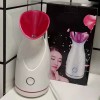 Hot sale household  steam Nano Spray Fruits vegetables Face steamer Beauty moisturizing instrument