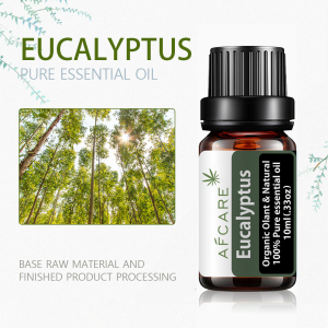 In February the best Eucalyptus oil Factory Price Wholesale 100% Natural Ingredients Body Massage Eucalyptus Essential Oil