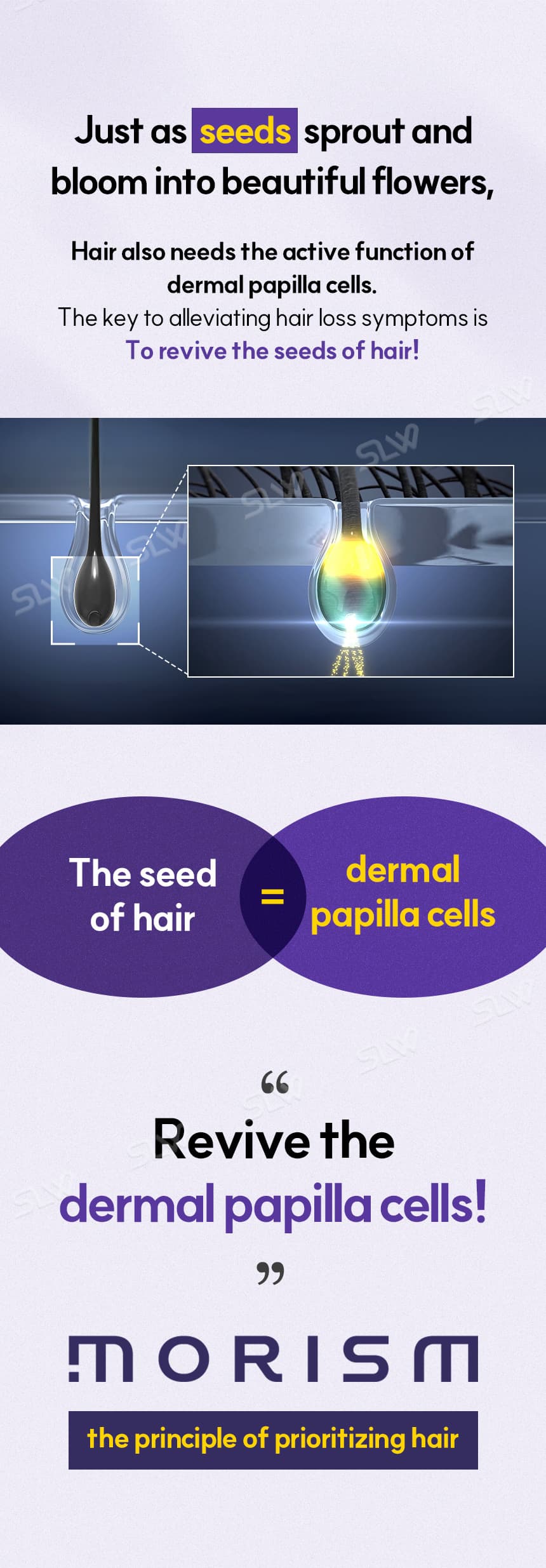 MORISM Scalp Hair Tonic