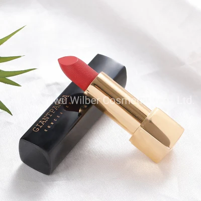 New Matte Color Lipstick Cosmetics Long Lasting