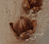 CL-502 - Eugenol USP Natural 99.5% Van Aroma - Tropical Biotek Ingredients