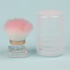 OEM Manicure Dust Powder Brush