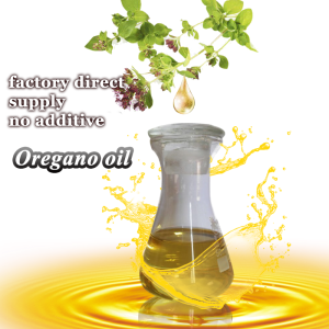 Best Wild Oregano Oil/origanum minutiflorum 90% carvacrol Wholesale organic 100% pure with CAS 8007-11-2