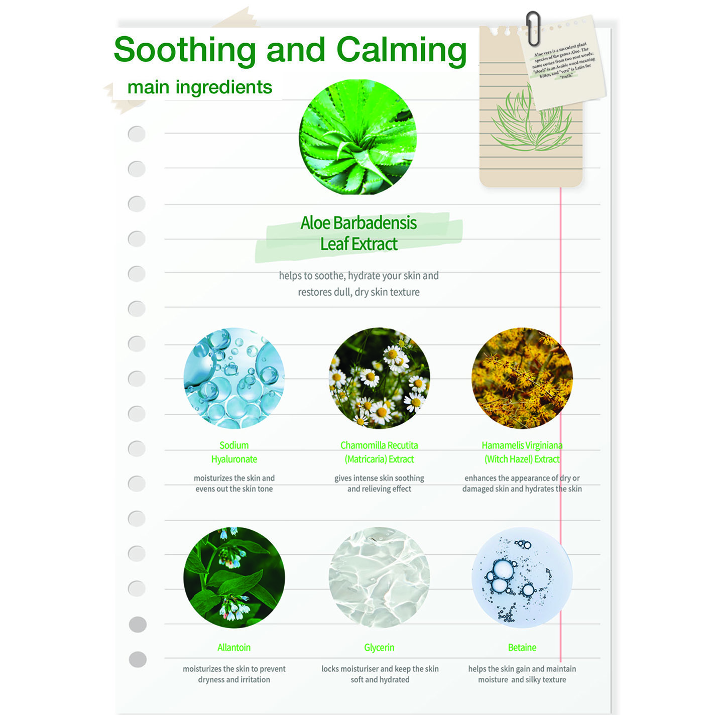 Face Sheet Mask (Aloe Vera) for Moisturizing, Soothing, Brightening 