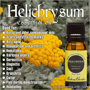 Helichrysum Oil - 100% Pure and Natural Therapeutic Grade Private Label Essential Oil