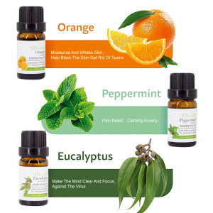 Ready to ship organic 10ml bottles  eucalyptus/peppermint/lemongrass/tea tree/lavender/orange essential oil gift set for sale