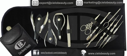 Professional Nail Artist Tools